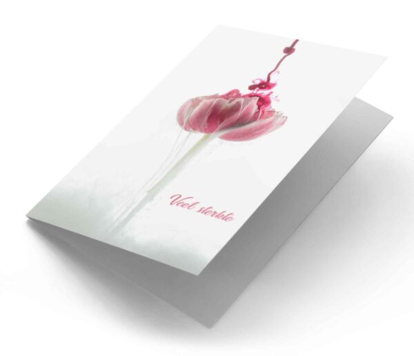 Pink flower
