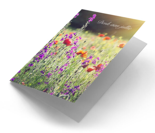 Veldbloemen paars