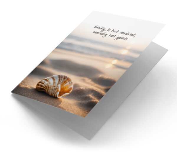 Schelp op het strand