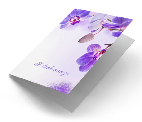 Paarse orchidee